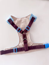 Load image into Gallery viewer, 'hazelnut sky' chest harness