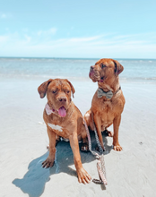 Load image into Gallery viewer, 'pistachio' bow