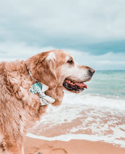 Load image into Gallery viewer, 'maldives' bow