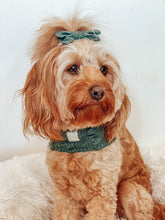 Load image into Gallery viewer, 'moss' SNOOD