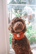 Load image into Gallery viewer, 'ginger' SNOOD