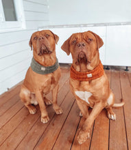 Load image into Gallery viewer, 'ginger' SNOOD