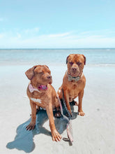 Load image into Gallery viewer, 'crepe' bow