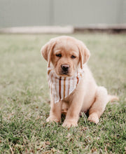 Load image into Gallery viewer, 'bondi' bandana