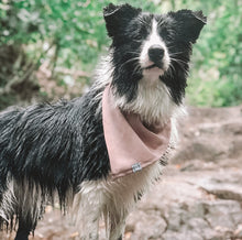 Load image into Gallery viewer, 'crepe' bandana