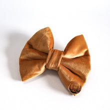 Load image into Gallery viewer, 'mustard' bow