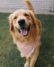 Load image into Gallery viewer, 'the palms' bandana