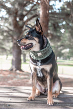 Load image into Gallery viewer, 'moss' SNOOD