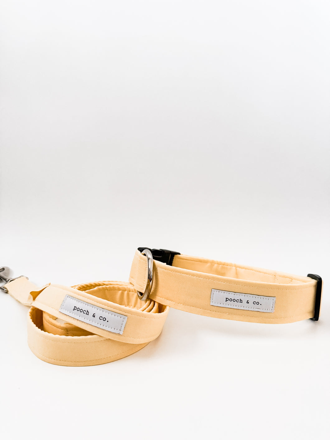 'buttermilk' collar