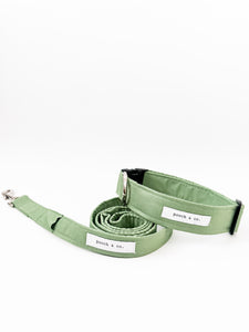'ivy' lead