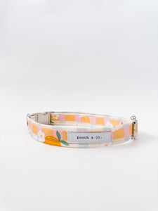 'lemon slice' collar