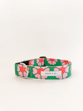 Load image into Gallery viewer, &#39;watermelon crush&#39; WIDE collar
