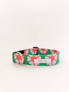 'watermelon crush' WIDE collar