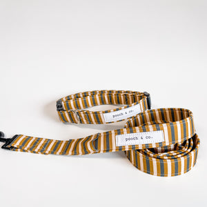 'barney' collar