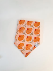 'field day' bandana