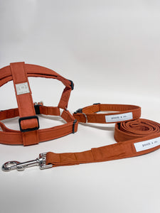 'terracotta' harness