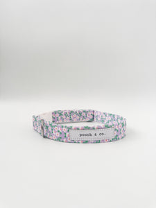 'winnie' collar