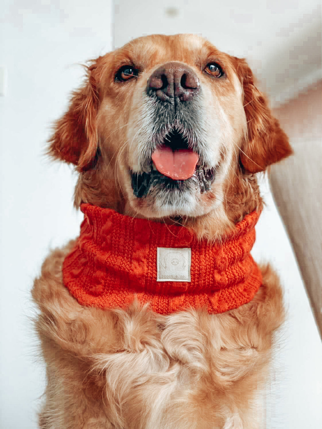 'poppy red' SNOOD