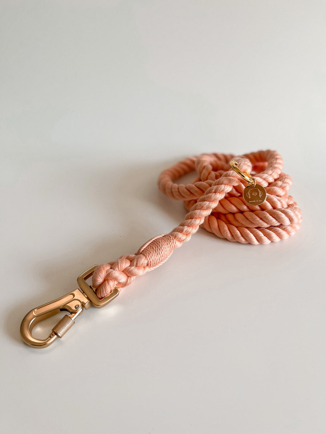 'salmon' rope lead