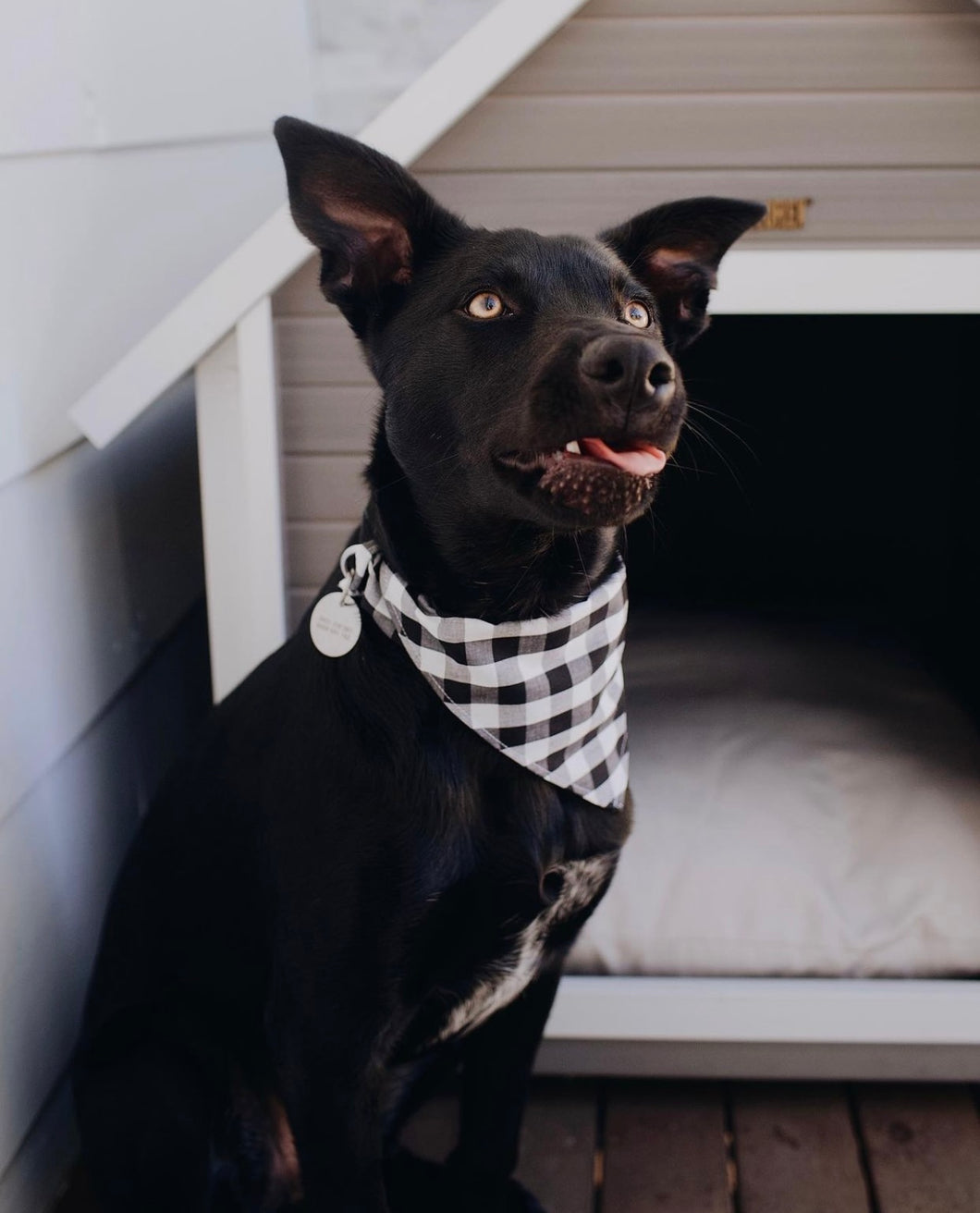 'ebony' bandana