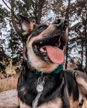 Load image into Gallery viewer, &#39;emerald&#39; collar
