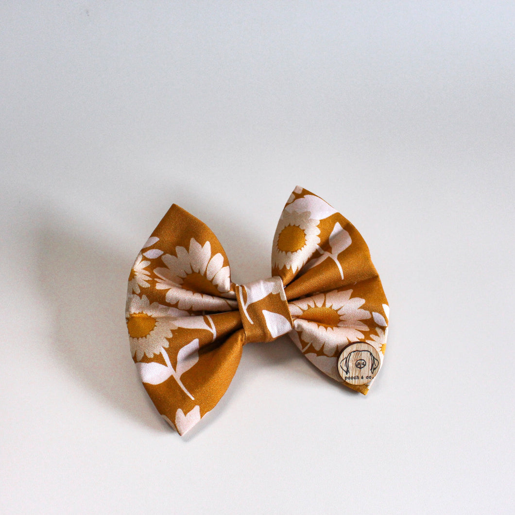 'asha' bow