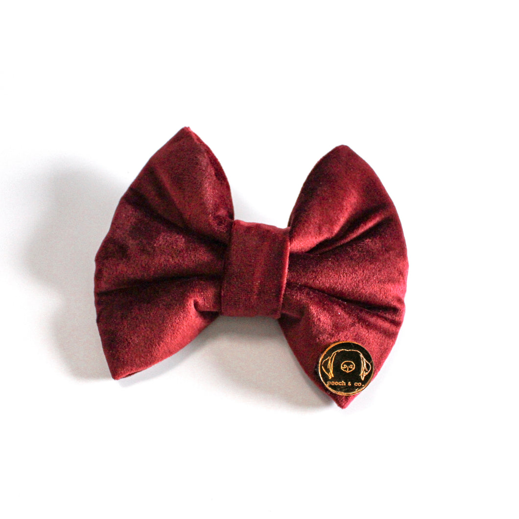 'cabernet' bow