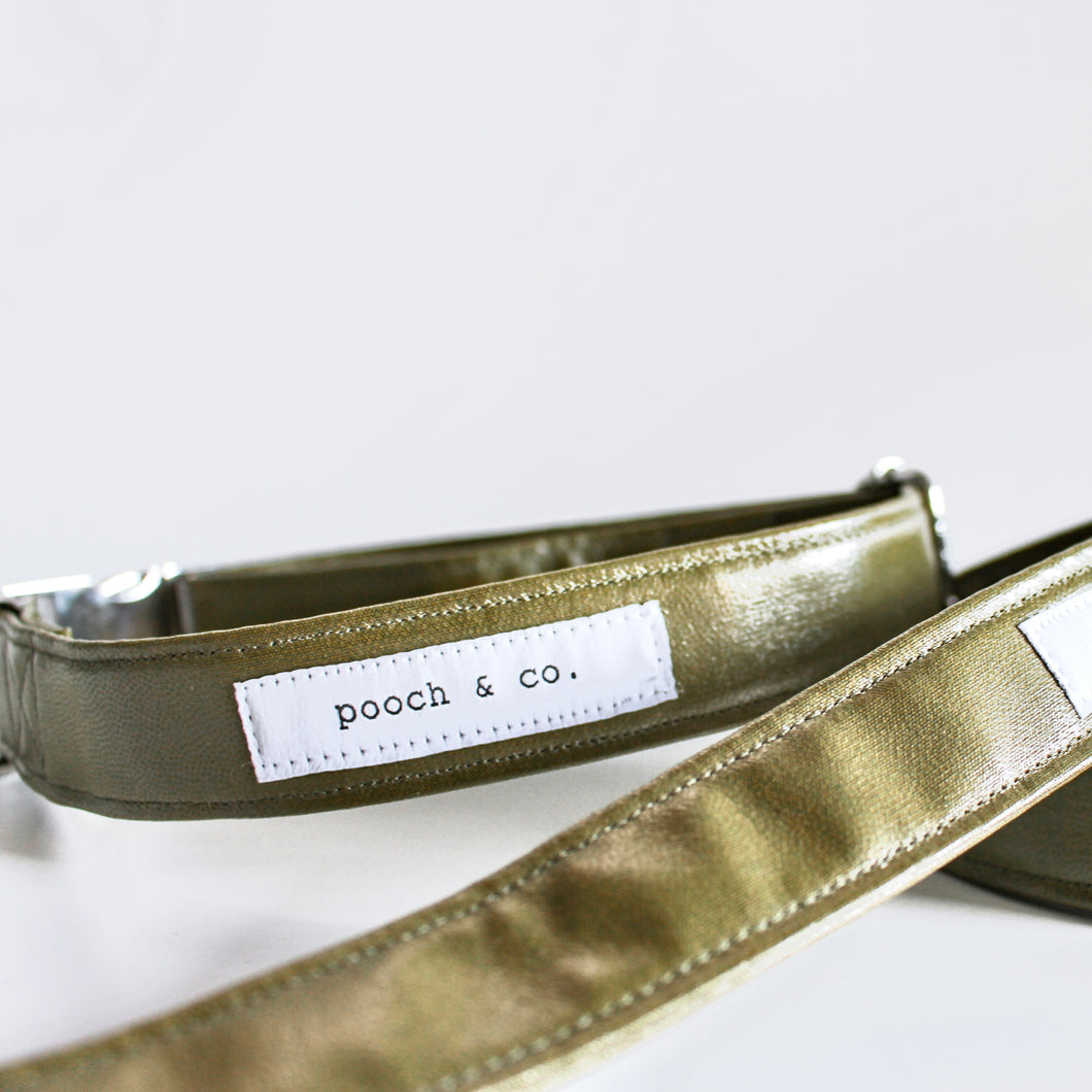 'swamp' collar