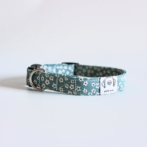 'marion' puppy collar