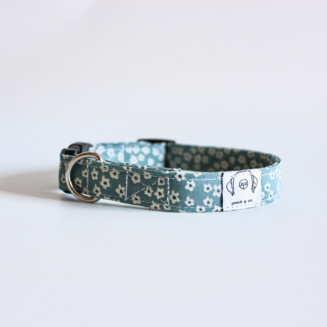 'marion' puppy collar