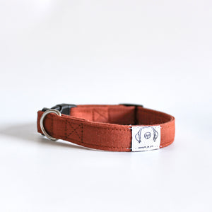 'terracotta' puppy collar