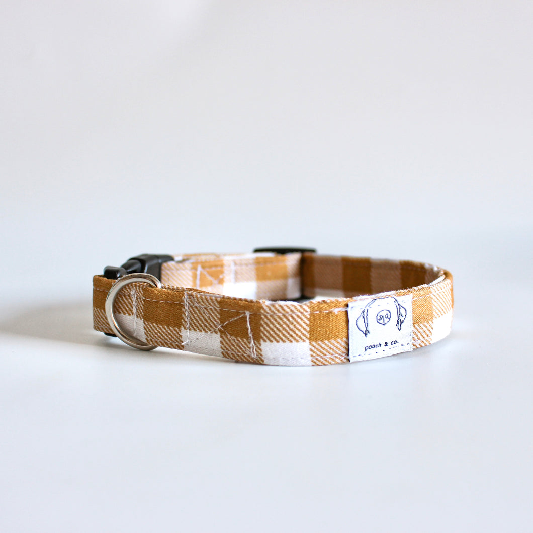 'mango' puppy collar