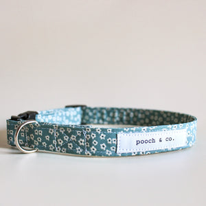 'marion' collar