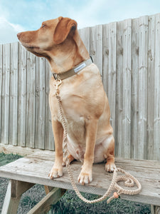 'beige' collar