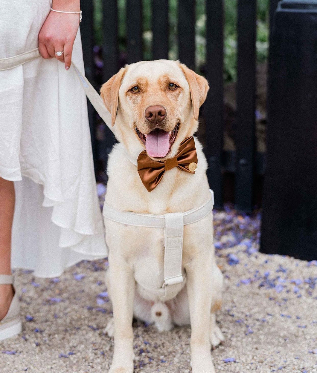 'beige' harness